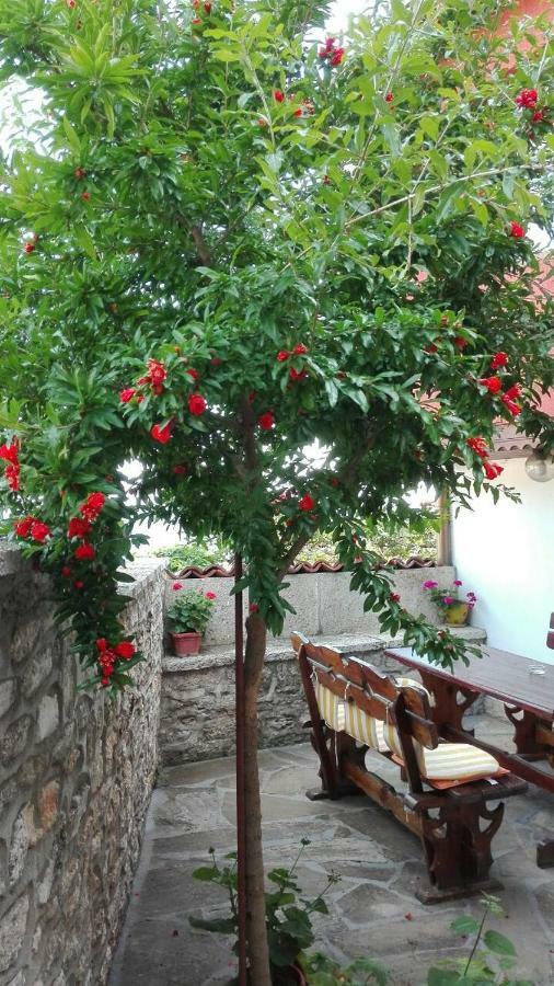 Regina'S Guesthouse Balchik Exterior photo